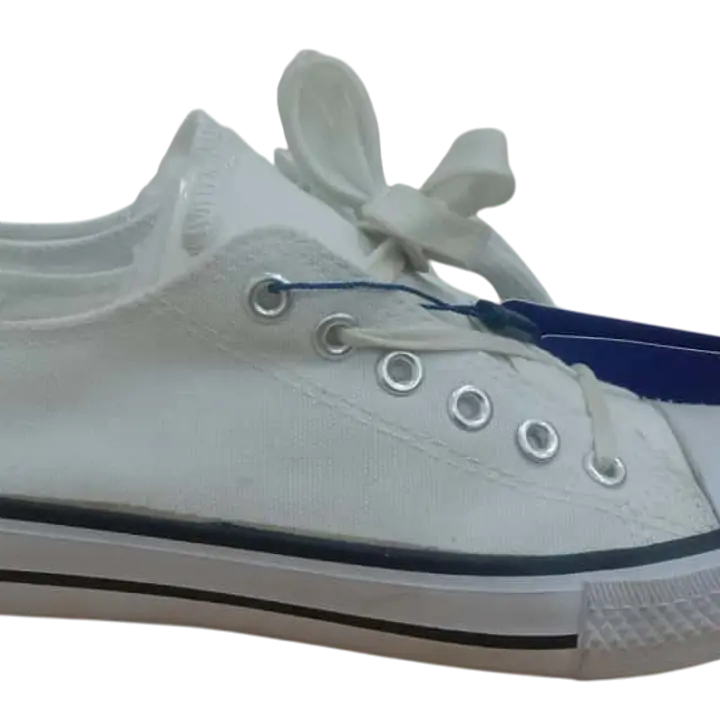 All Sport Convas - Master