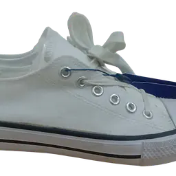 All Sport Convas - Master