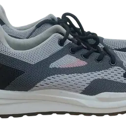 Mixed Colour Sport Sneaker - Master