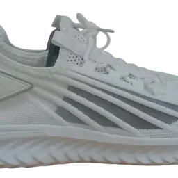 Jogging Cum Sport - Master